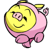 pig