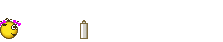 dus