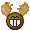 moose
